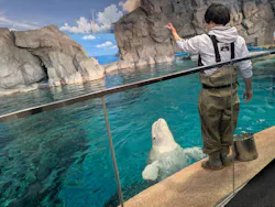 名古屋港水族館に投稿された画像（2026/4/17）