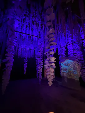 動き出す妖怪展 TOKYO 〜Imagination of Japan〜に投稿された画像（2026/4/17）