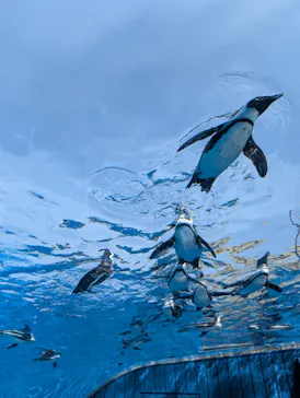 サンシャイン水族館に投稿された画像（2026/4/17）
