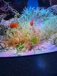 新江ノ島水族館に投稿された画像（2026/4/17）