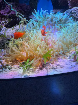 新江ノ島水族館に投稿された画像（2026/4/17）