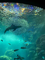 新江ノ島水族館に投稿された画像（2026/4/17）