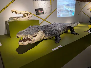 特別展「超危険生物展　科学で挑む生き物の本気」に投稿された画像（2026/4/17）