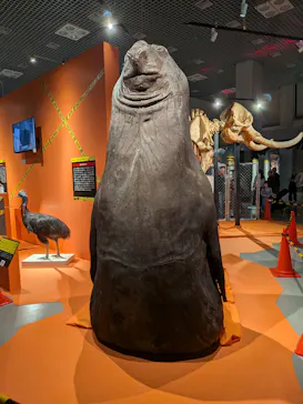 特別展「超危険生物展　科学で挑む生き物の本気」に投稿された画像（2026/4/17）