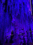 動き出す妖怪展 TOKYO 〜Imagination of Japan〜に投稿された画像（2026/4/17）