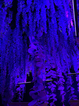 動き出す妖怪展 TOKYO 〜Imagination of Japan〜に投稿された画像（2026/4/17）
