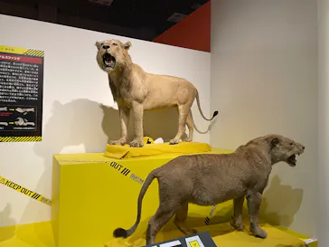 特別展「超危険生物展　科学で挑む生き物の本気」に投稿された画像（2026/4/17）