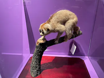 特別展「超危険生物展　科学で挑む生き物の本気」に投稿された画像（2026/4/17）