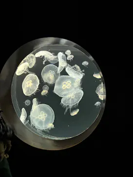 仙台うみの杜水族館に投稿された画像（2026/4/17）
