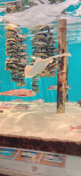 仙台うみの杜水族館に投稿された画像（2026/4/17）