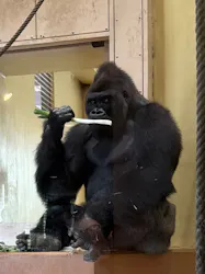 名古屋市東山動植物園に投稿された画像（2026/4/17）