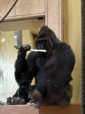 名古屋市東山動植物園に投稿された画像（2026/4/17）