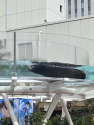 サンシャイン水族館に投稿された画像（2026/4/17）