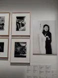 生誕100年　森英恵 ヴァイタル・タイプに投稿された画像（2026/4/17）