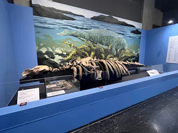 大絶滅展ー生命史のビッグファイブ（名古屋会場）に投稿された画像（2026/4/17）