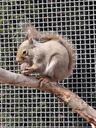 那須どうぶつ王国に投稿された画像（2026/4/17）