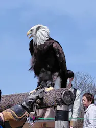 那須どうぶつ王国に投稿された画像（2026/4/17）