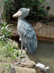 那須どうぶつ王国に投稿された画像（2026/4/17）