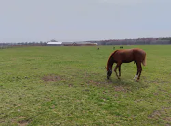 ノーザンホースパークに投稿された画像（2026/4/17）