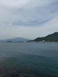 あわしまマリンパークに投稿された画像（2026/4/18）