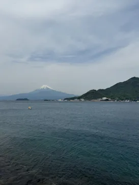 あわしまマリンパークに投稿された画像（2026/4/17）