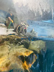 新江ノ島水族館に投稿された画像（2026/4/17）