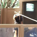 横浜・八景島シーパラダイスに投稿された画像（2026/4/18）