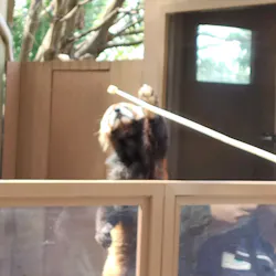 横浜・八景島シーパラダイスに投稿された画像（2026/4/17）