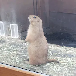 横浜・八景島シーパラダイスに投稿された画像（2026/4/17）