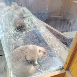 横浜・八景島シーパラダイスに投稿された画像（2026/4/17）