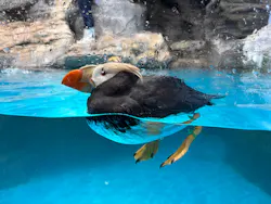 アクアワールド茨城県大洗水族館に投稿された画像（2026/4/18）