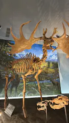 福井県立恐竜博物館に投稿された画像（2026/4/18）