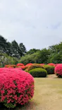 新宿御苑に投稿された画像（2026/4/18）