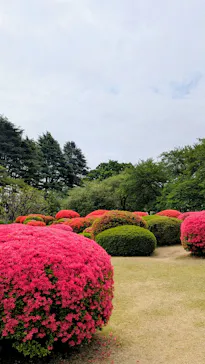 新宿御苑に投稿された画像（2026/4/18）