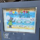 猫好きさんの祭典「にゃんだらけ20」に投稿された画像（2026/4/18）