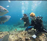 武藤潜水に投稿された画像（2026/4/18）