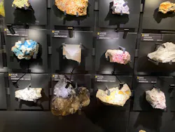 国立科学博物館に投稿された画像（2026/4/18）