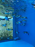 サンシャイン水族館に投稿された画像（2026/4/18）