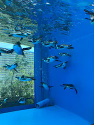 サンシャイン水族館に投稿された画像（2026/4/18）