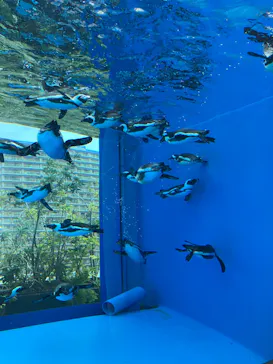 サンシャイン水族館に投稿された画像（2026/4/18）