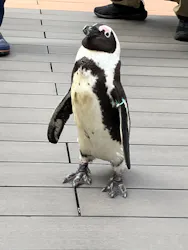 サンシャイン水族館に投稿された画像（2026/4/18）