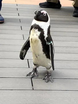 サンシャイン水族館に投稿された画像（2026/4/18）