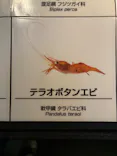 葛西臨海水族園に投稿された画像（2026/4/18）