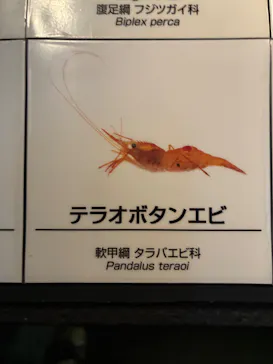 葛西臨海水族園に投稿された画像（2026/4/18）