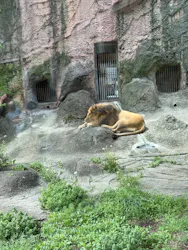 名古屋市東山動植物園に投稿された画像（2026/4/18）