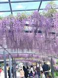 万博記念公園に投稿された画像（2026/4/18）
