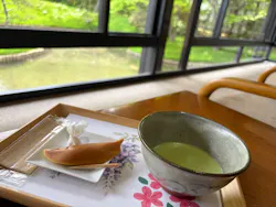 三溪園に投稿された画像（2026/4/18）