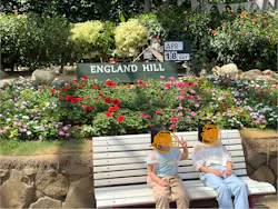 淡路ファームパーク イングランドの丘に投稿された画像（2026/4/18）