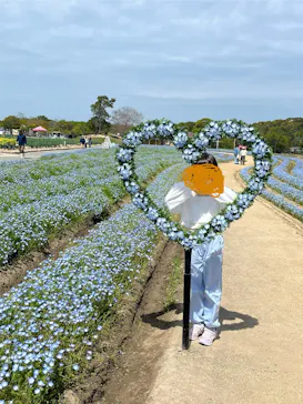 淡路ファームパーク イングランドの丘に投稿された画像（2026/4/18）