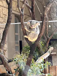 名古屋市東山動植物園に投稿された画像（2026/4/18）
